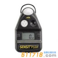 美國(guó)SENSIT P100單一氣體檢測(cè)儀