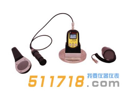 RadEye GX多功能輻射測(cè)量儀
