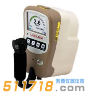 美國LUDLUM 9DP-1電離室輻射測量儀