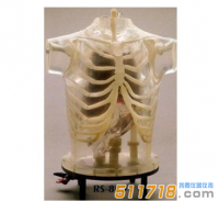 美國(guó)RSD ART Phantom胸部模體