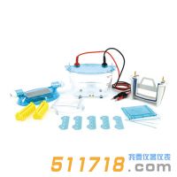 北京六一 DYCZ-24K、DYCZ-24KS型雙板垂直電泳儀
