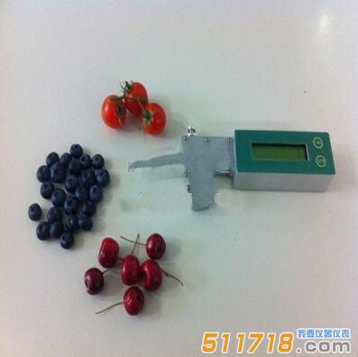 意大利 Fruit Firm Meter手持式無(wú)損傷水果硬度計(jì)