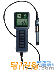 美國YSI 63型酸度、鹽度、電導、溫度測量儀