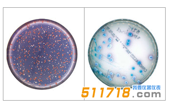 法國interscience Scan 300全自動菌落計數(shù)器1.png