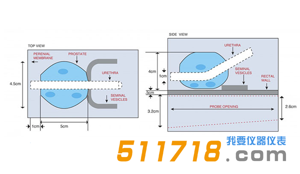 美國CIRS 053S 053L 053L-EF前列腺MRI測試體模1.png