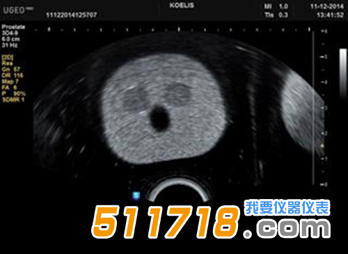 美國CIRS 053S 053L 053L-EF前列腺MRI測試體模3.png