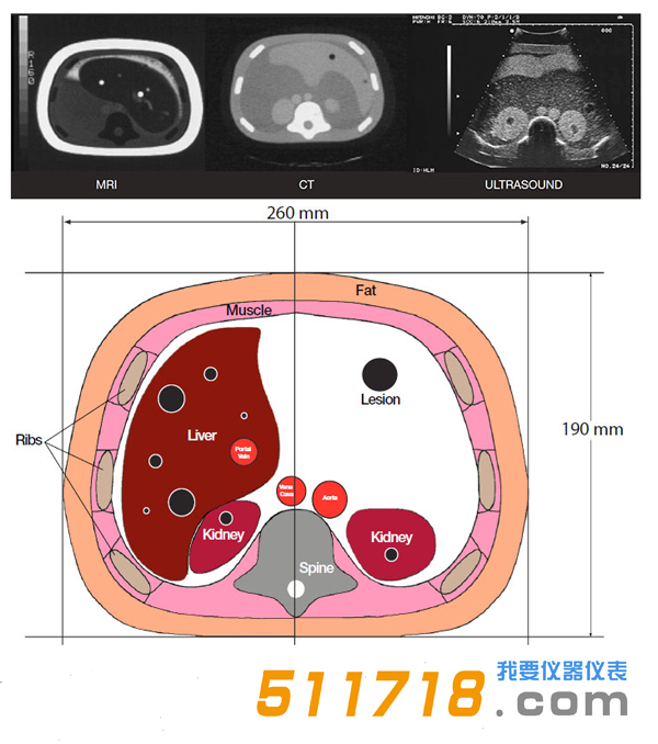 1535012817129348.png 美國CIRS 057A三維腹部模體1.png