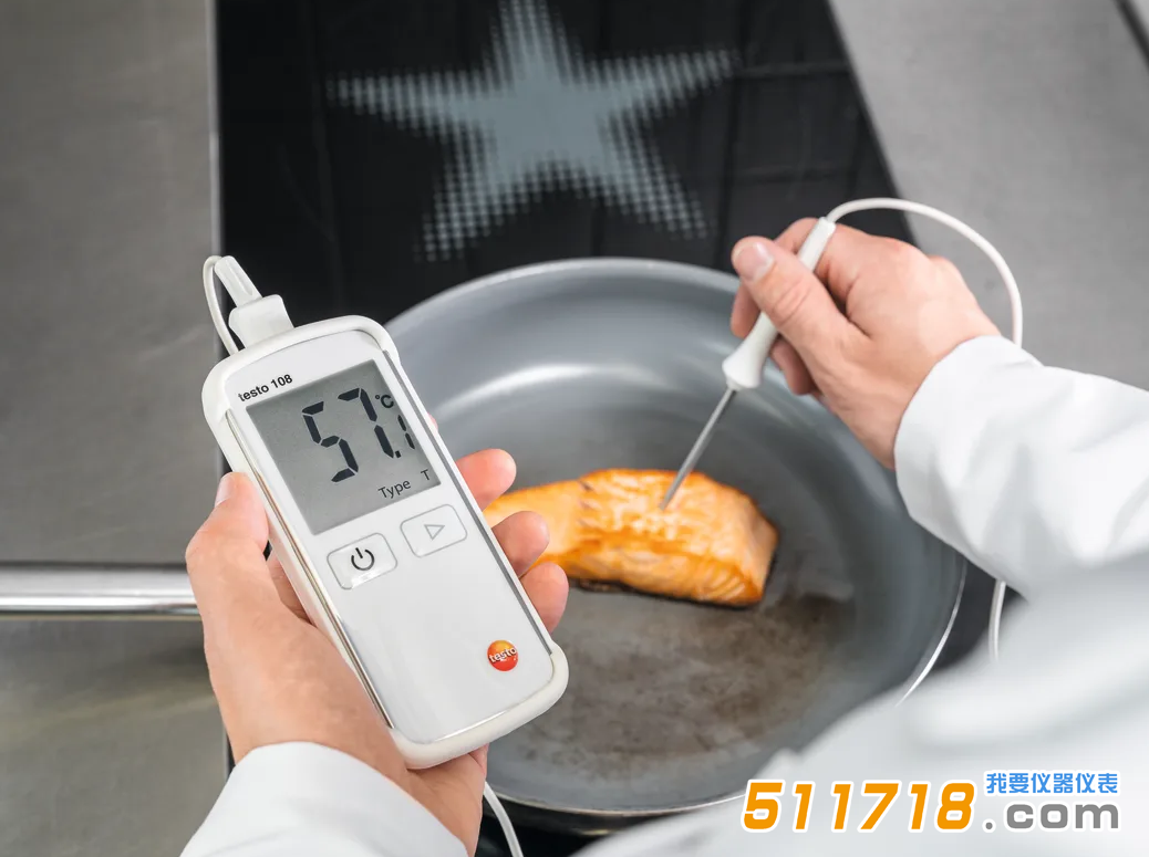 德國(guó)德圖testo 108食品溫度計(jì).png